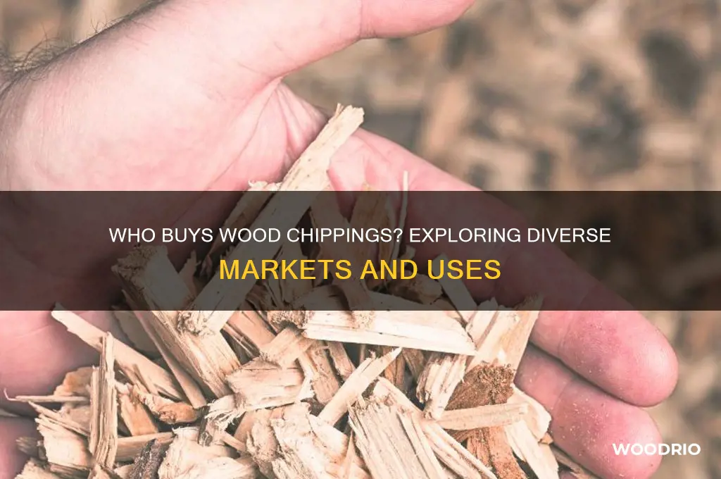 who buys wood chippings