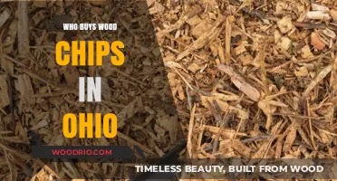 Ohio Wood Chip Buyers: Industries and Uses Driving Demand