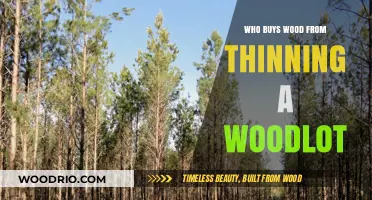 Who Buys Thinned Woodlot Timber? Exploring Market Opportunities for Landowners