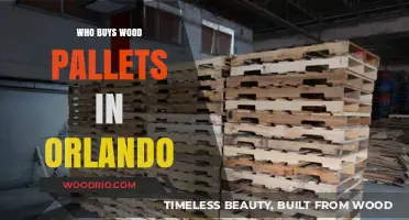 Where to Sell Wood Pallets in Orlando: Top Buyers Guide