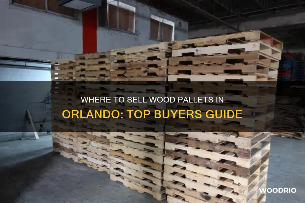 who buys wood pallets in orlando
