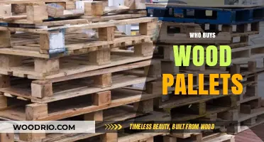 Who Buys Wood Pallets? Industries and Buyers Explained
