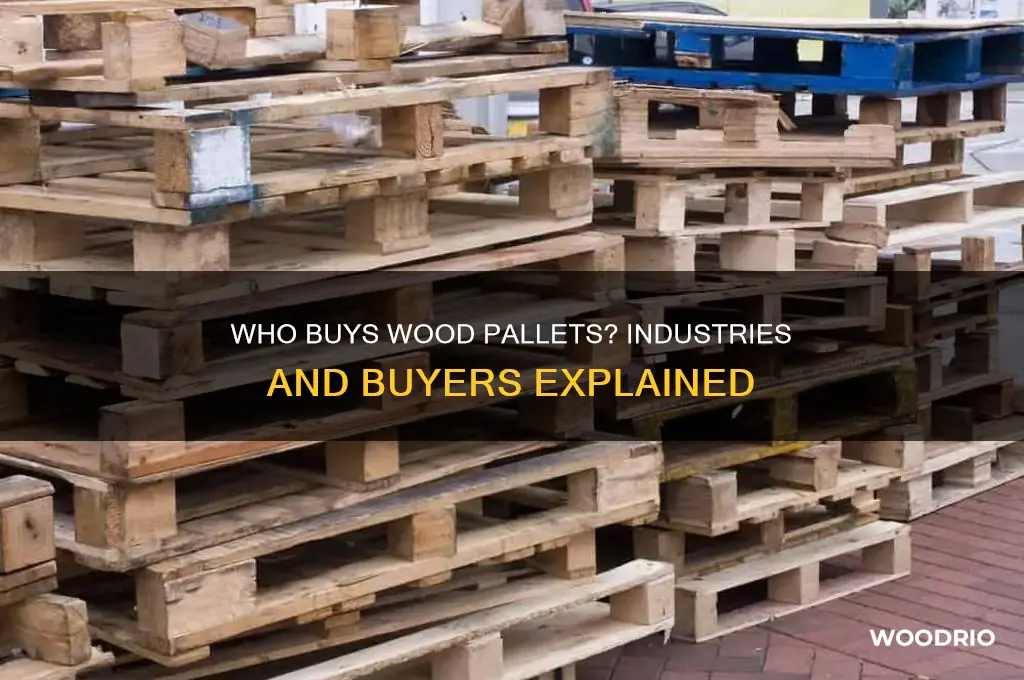 who buys wood pallets