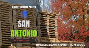 Where to Sell Wooden Pallets in San Antonio: Top Buyers