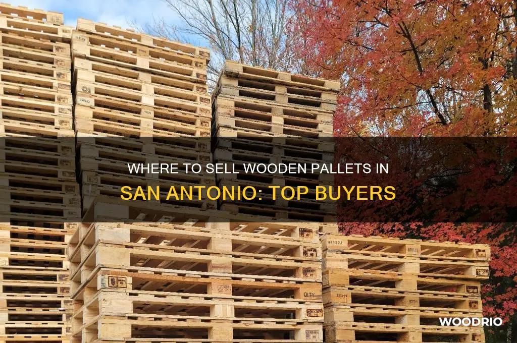 who buys wooden pallets in san antonio