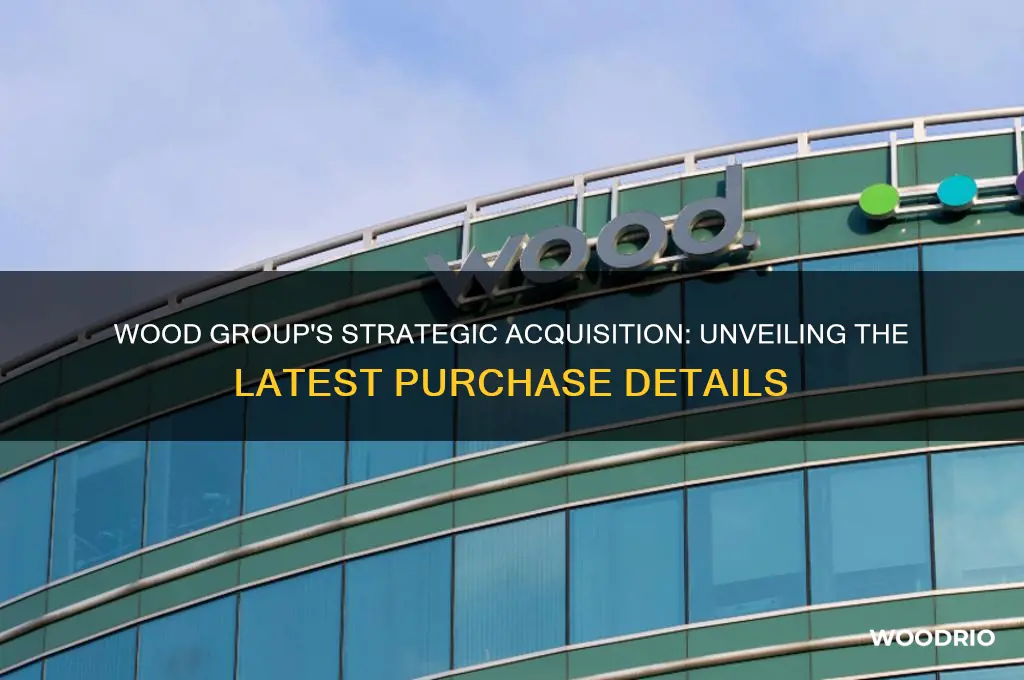 who did wood group buy