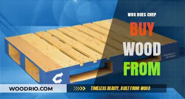 Unveiling Chep's Wood Suppliers: A Comprehensive Look at Their Sourcing Network