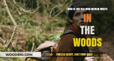 The Enigmatic Stranger: Unveiling Merlin's Mystical Woods Encounter