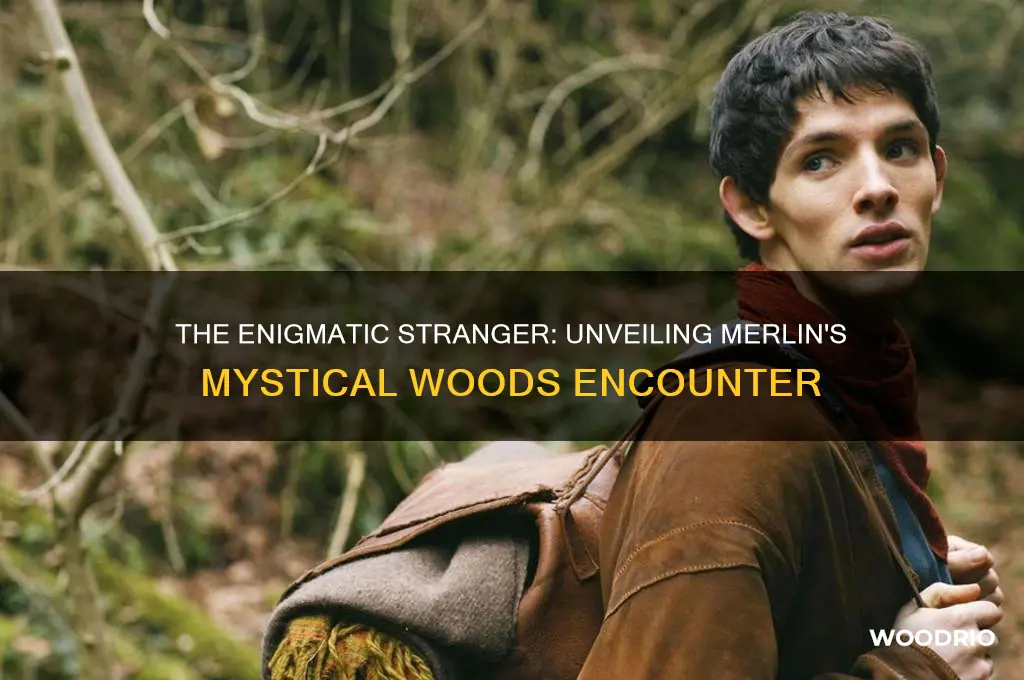 who is the old man merlin meets in the woods