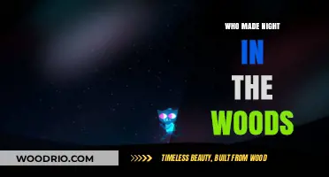 Unraveling the Creators Behind the Indie Hit 'Night in the Woods