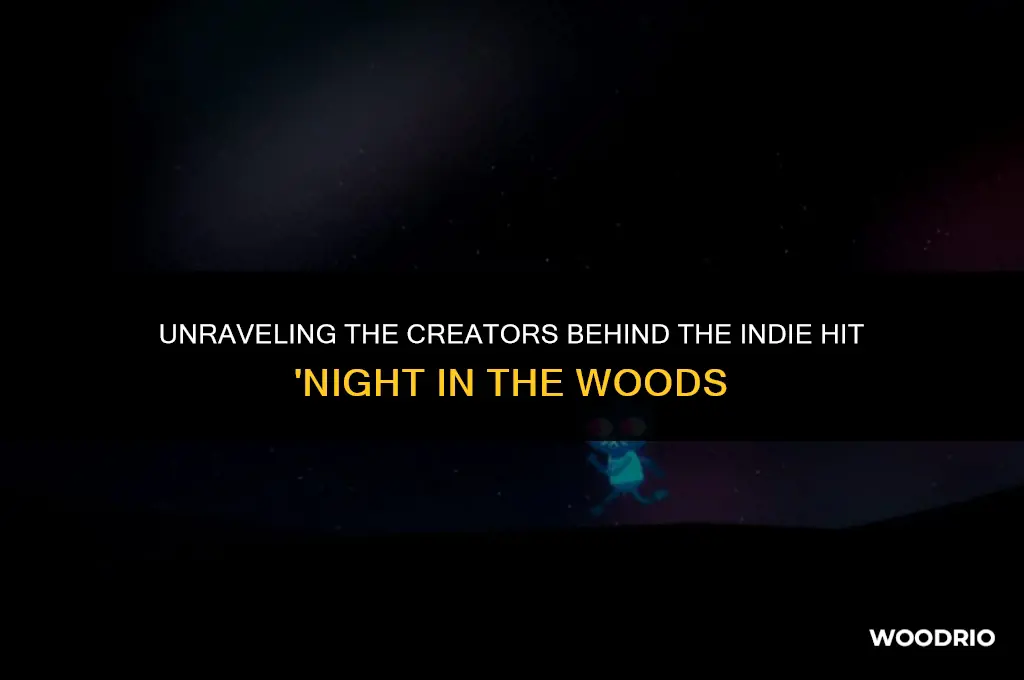 who made night in the woods