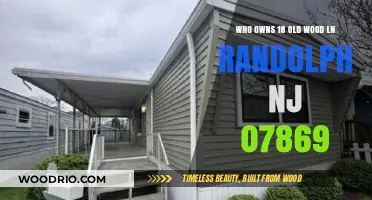 Unveiling the Owner of 18 Old Wood Lane, Randolph, NJ