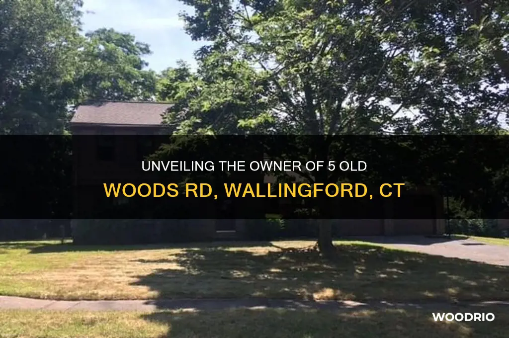 who owns 5 old woods rd wallingford ct
