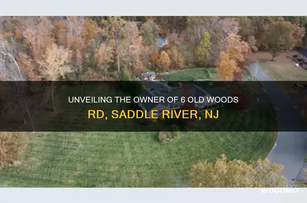 who owns 6 old woods rd saddle river nj 07458