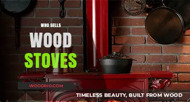 Exploring the Market: Who Sells Wood Stoves and Why They're Popular
