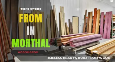 Best Wood Suppliers in Morthal: Where to Buy Quality Lumber