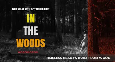 Lost in the Woods: The Inspiring Story of a 6-Year-Old's Survival