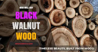 Who Buys Black Walnut Wood? Top Buyers and Uses Revealed
