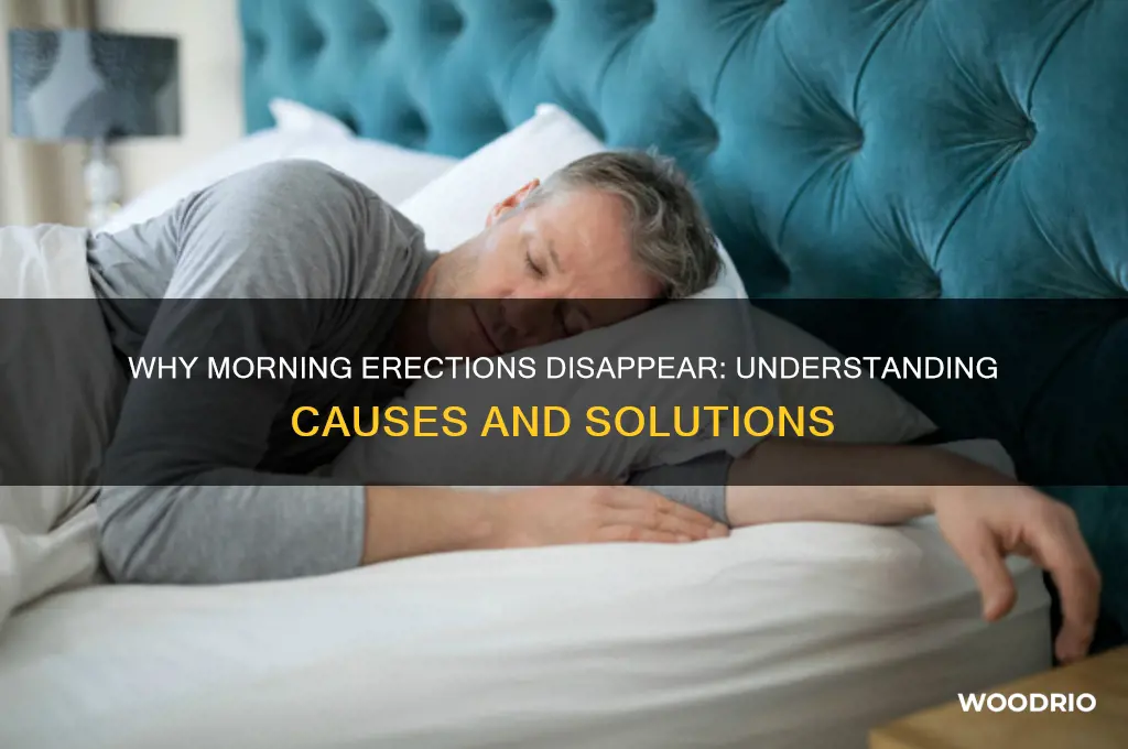 why am i no longer having morning wood