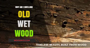 Unraveling the Mystery: Why You're Smelling Old Wet Wood