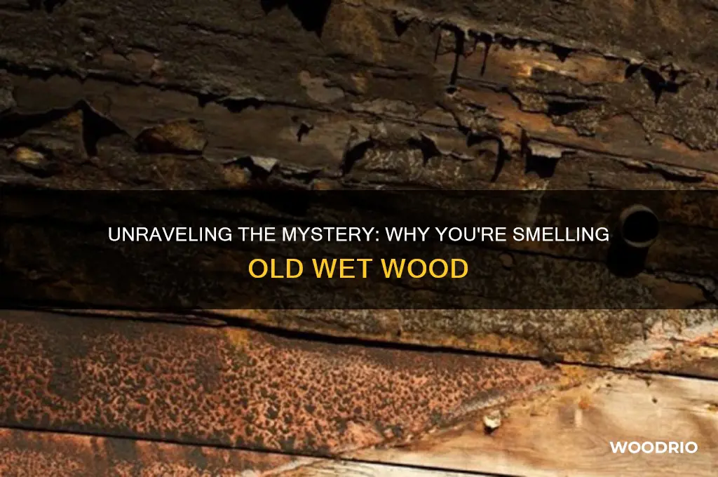 why am i smelling old wet wood