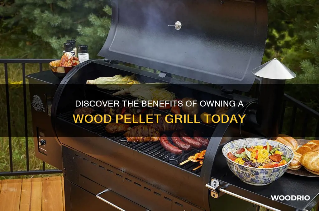why buy a wood pellet grill