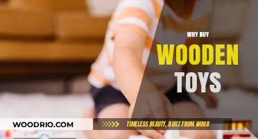 Why Wooden Toys Are a Timeless, Eco-Friendly Choice for Kids