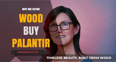 Cathie Wood's Palantir Purchase: Strategic Vision or Market Opportunity?