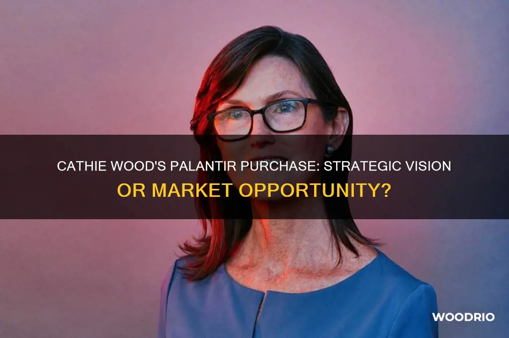 why did cathie wood buy palantir