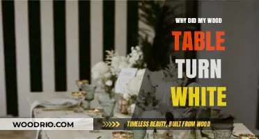 Why Your Wood Table Turned White: Causes and Solutions Explained