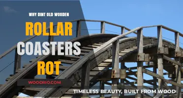 Why Old Wooden Roller Coasters Resist Rot: Secrets Revealed