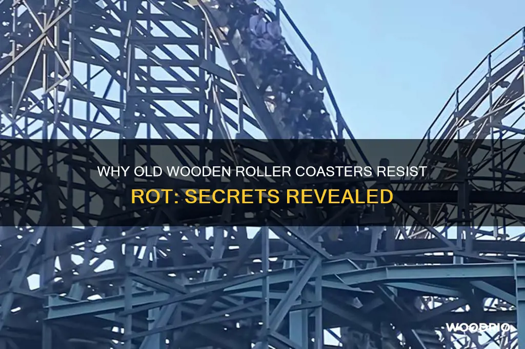 why dint old wooden rollar coasters rot