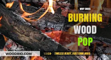 Exploring the Science Behind Wood's Popping Sounds When Burned