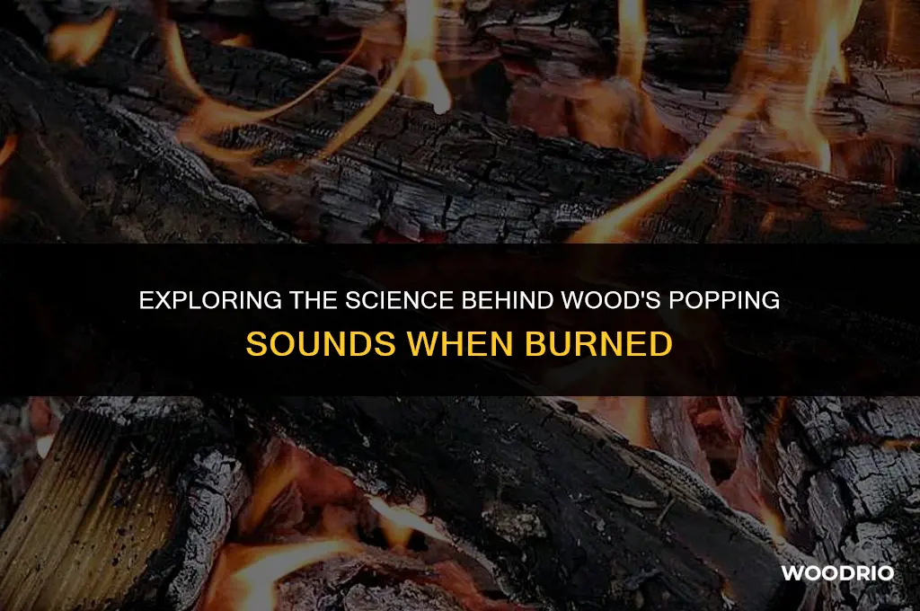 why does burning wood pop