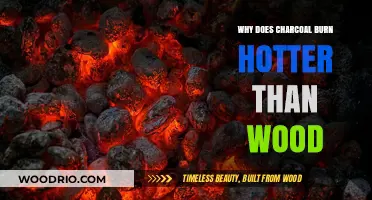 Exploring the Science: Charcoal's Higher Burning Temperature vs. Wood
