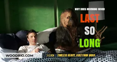 Why Morning Erections Last Longer: Uncovering the Science Behind Nocturnal Tumescence