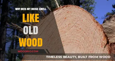Why Your Home Smells Like Old Wood: Causes and Solutions