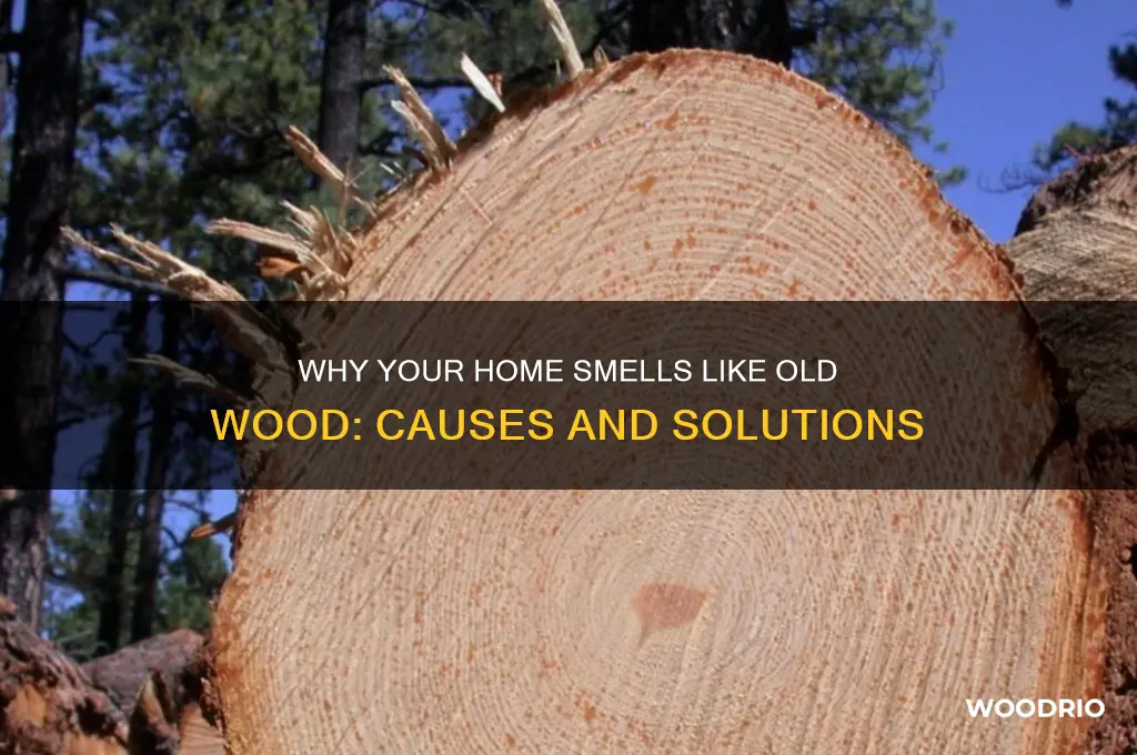 why does my house smell like old wood