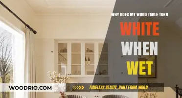 Why Wood Tables Turn White When Wet: Causes and Solutions