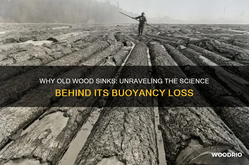 why does old wood sink