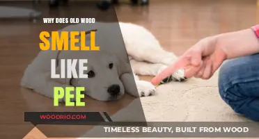 Why Old Wood Smells Like Pee: Uncovering the Surprising Science Behind It