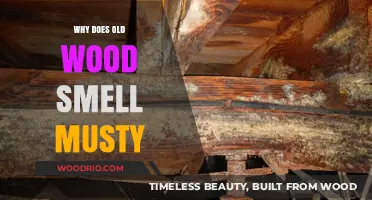 Unveiling the Musty Mystery: Why Old Wood Emits That Distinct Odor