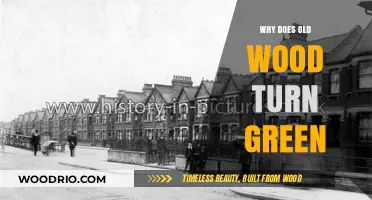 Why Old Wood Turns Green: Uncovering the Natural Aging Process