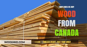 Why the U.S. Relies on Canadian Timber Imports: Key Factors