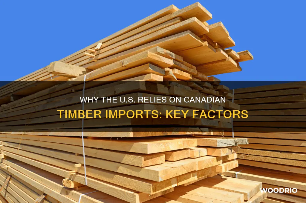 why does us buy wood from canada
