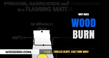 Exploring the Science Behind Why Wood Burns: A Comprehensive Guide