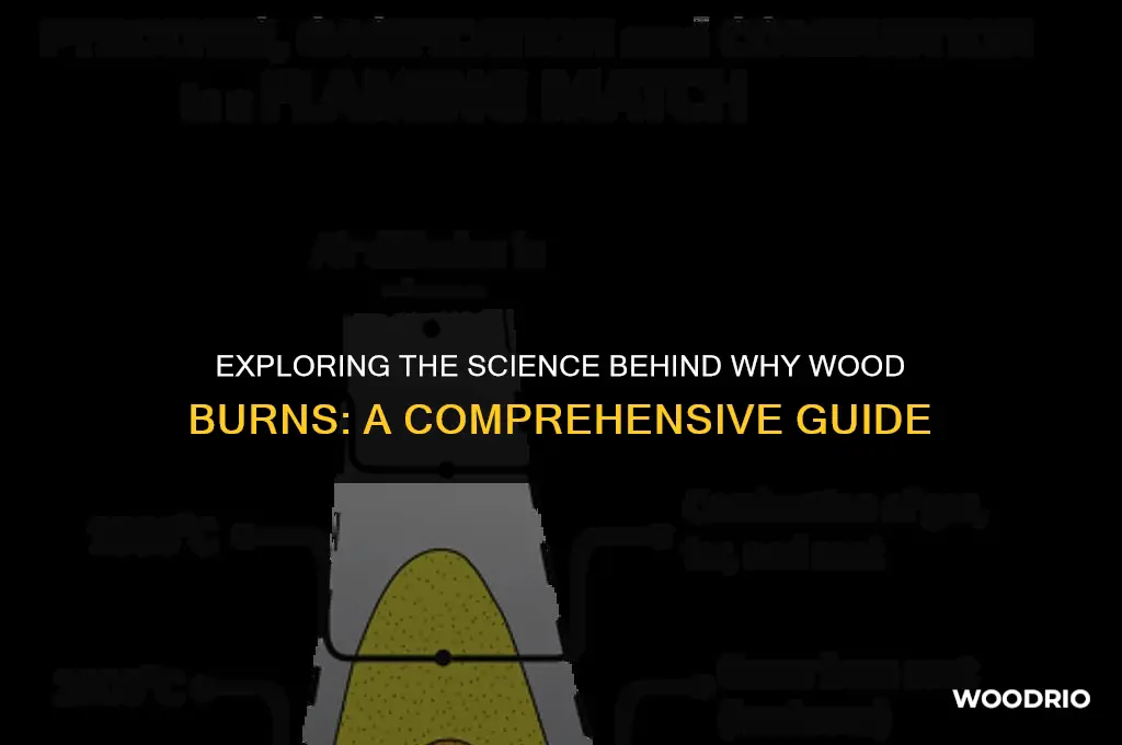 why does wood burn