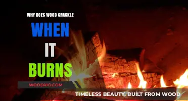 Exploring the Science Behind Wood's Crackling Flames