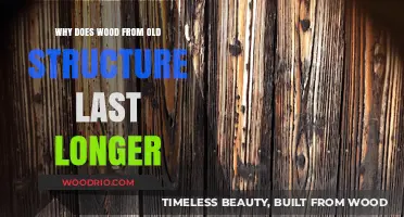 Old Wood's Enduring Strength: Secrets Behind Its Longevity in Historic Structures