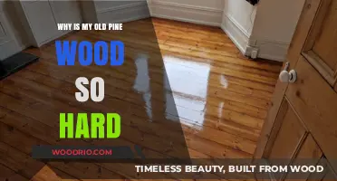 Why Old Pine Wood Hardens: Uncovering the Surprising Aging Process